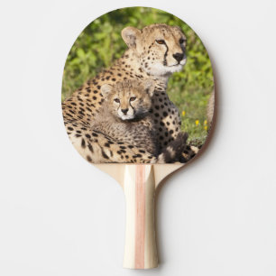 Africa. Tanzania. Cheetah mother and cubs 2 Ping Pong Paddle