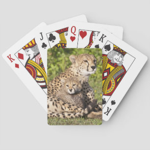 Africa. Tanzania. Cheetah mother and cubs 2 Playing Cards