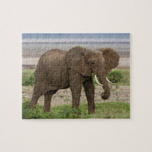 Africa. Tanzania. Elephant at Lake Manyara NP. Jigsaw Puzzle