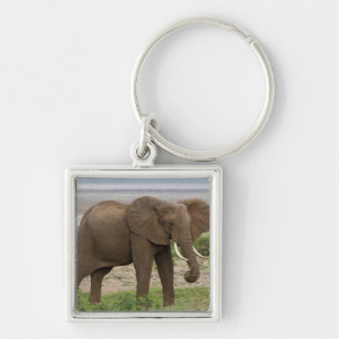 Africa. Tanzania. Elephant at Lake Manyara NP. Keychain