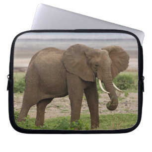 Africa. Tanzania. Elephant at Lake Manyara NP. Laptop Sleeve