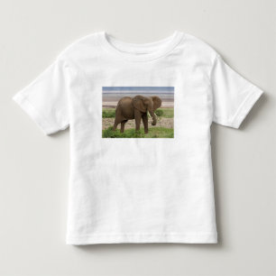 Africa. Tanzania. Elephant at Lake Manyara NP. Toddler T-shirt