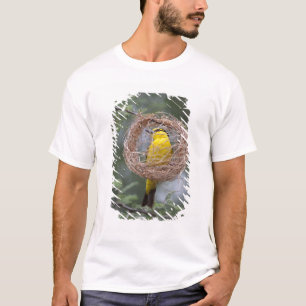 Africa. Tanzania. Female Black-Necked Weaver T-Shirt