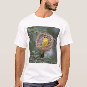 Africa. Tanzania. Female Black-Necked Weaver T-Shirt
