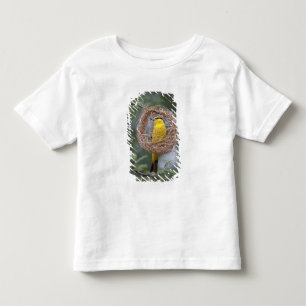 Africa. Tanzania. Female Black-Necked Weaver Toddler T-shirt