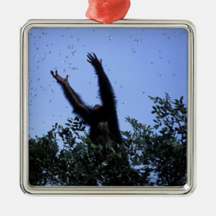 Africa, Tanzania, Glitter reaches for flying Metal Ornament