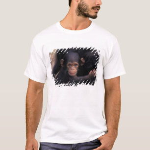 Africa, Tanzania, Gombe Nat'l Park T-Shirt
