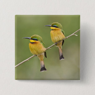 Africa. Tanzania. Little Bee Eaters at Manyara 2 Inch Square Button