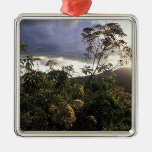 Africa, Tanzania, Ngorongoro Conservation Area, Metal Ornament