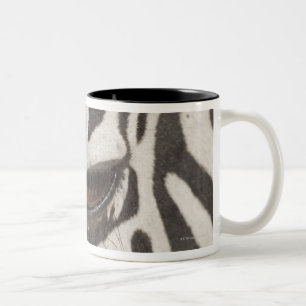 'Africa, Tanzania, Ngorongoro Conservation Area' Two-Tone Coffee Mug