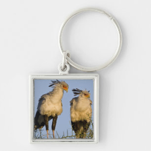 Africa. Tanzania. Secretary Birds at Ndutu Keychain