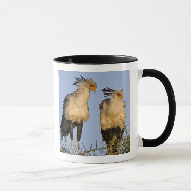 Africa. Tanzania. Secretary Birds at Ndutu Mug (Right)