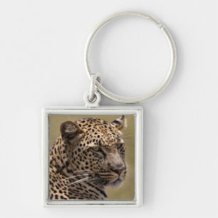 Africa, Tanzania, Serengeti. Leopard Keychain