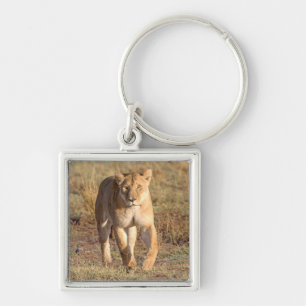 Africa, Tanzania, Serengeti. Lion And Lioness Keychain