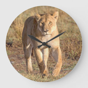 Africa, Tanzania, Serengeti. Lion And Lioness Large Clock