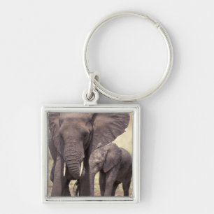 Africa, Tanzania, Tarangire National Park. 2 Keychain