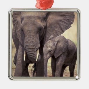 Africa, Tanzania, Tarangire National Park. 2 Metal Ornament