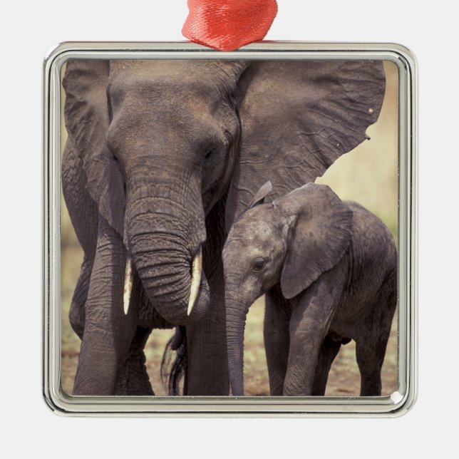 Africa, Tanzania, Tarangire National Park. 2 Metal Ornament (Front)