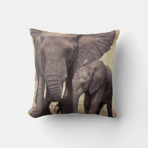 Africa, Tanzania, Tarangire National Park. 2 Throw Pillow
