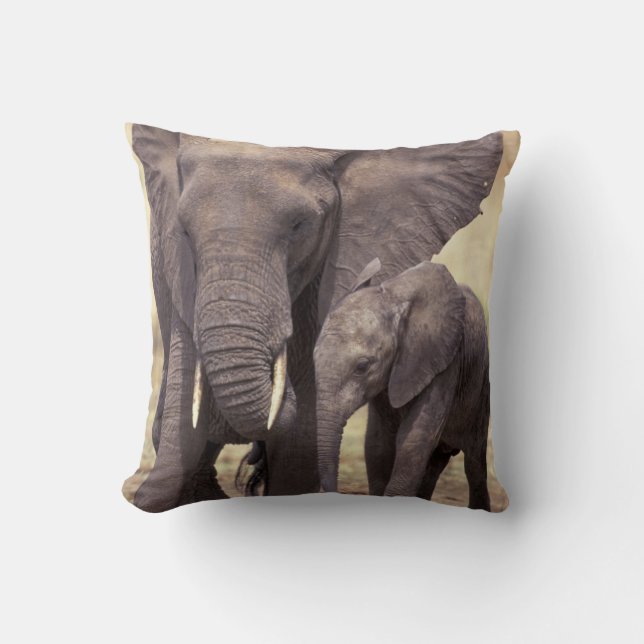 Africa, Tanzania, Tarangire National Park. 2 Throw Pillow (Front)
