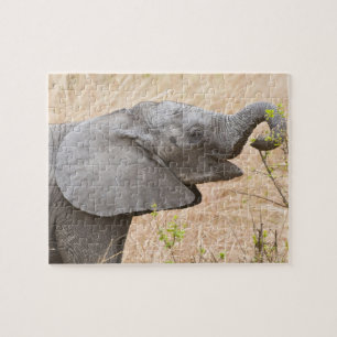 Africa. Tanzania. Young Elephant at Tarangire Jigsaw Puzzle