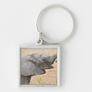 Africa. Tanzania. Young Elephant at Tarangire Keychain