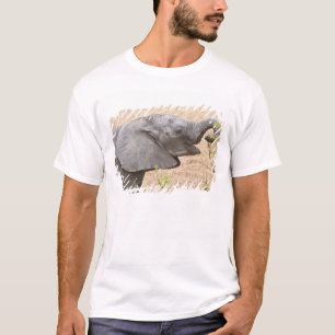 Africa. Tanzania. Young Elephant at Tarangire T-Shirt