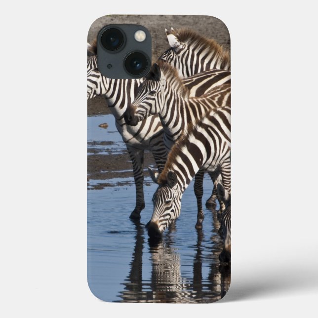 Africa. Tanzania. Zebras drinking at Ndutu Case-Mate iPhone Case (Back)