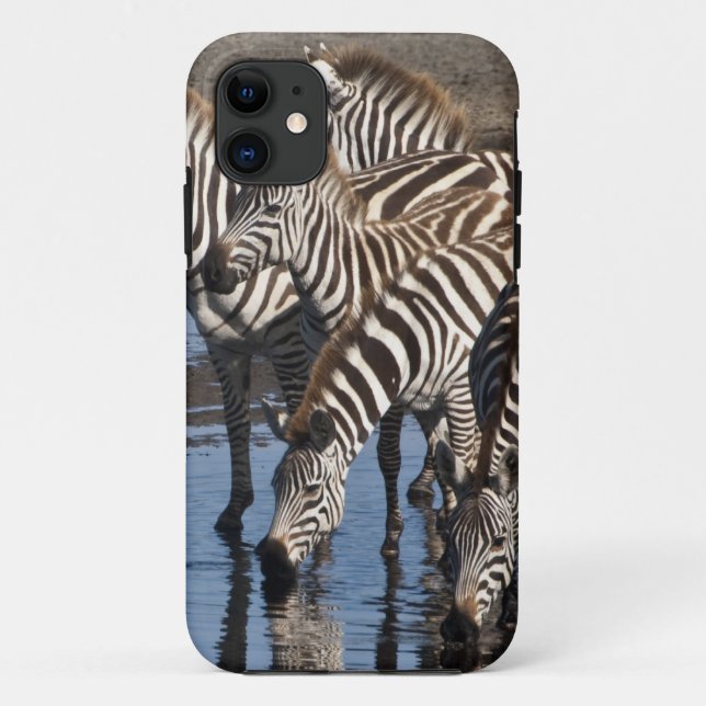 Africa. Tanzania. Zebras drinking at Ndutu Case-Mate iPhone Case (Back)