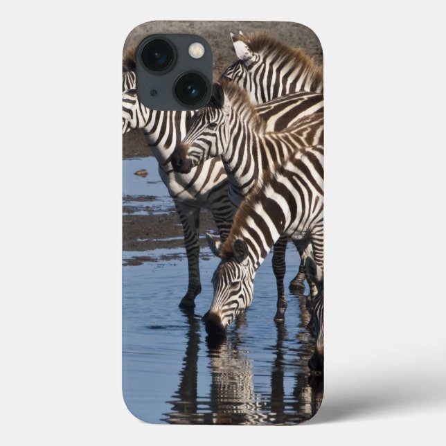 Africa. Tanzania. Zebras drinking at Ndutu Case-Mate iPhone Case (Back)