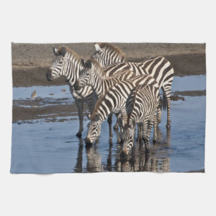 Africa. Tanzania. Zebras drinking at Ndutu Kitchen Towel