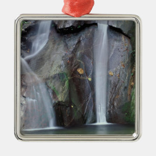 Africa, Uganda, Bwindi Impenetrable rainforest, Metal Ornament