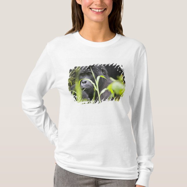 Africa Uganda, Bwindi T-Shirt (Front)