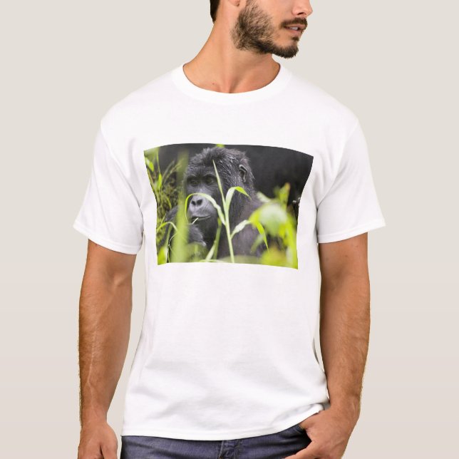 Africa Uganda, Bwindi T-Shirt (Front)