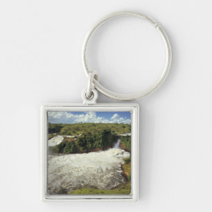 Africa, Uganda, Murchison Falls NP. The frothy Keychain