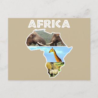 Africa Wildlife Continent Collage Holiday Postcard