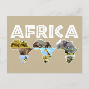 Africa Wildlife Continent Trio Collage Holiday Postcard