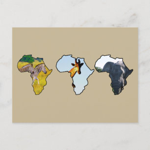 Africa Wildlife Continent Trio Wildlife Photos Holiday Postcard