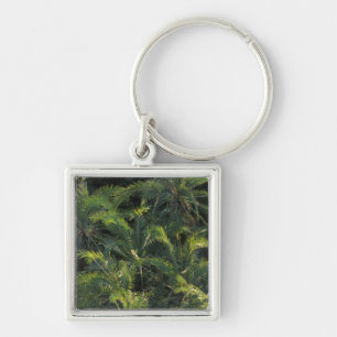 Africa, Zambia, Mosi-Oa-Tunya National Park, Keychain