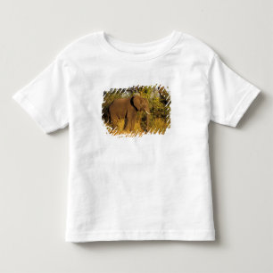 Africa, Zimbabwe, Victoria Falls National Park. Toddler T-shirt