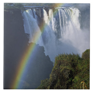 Africa, Zimbabwe, Victoria Falls Tile