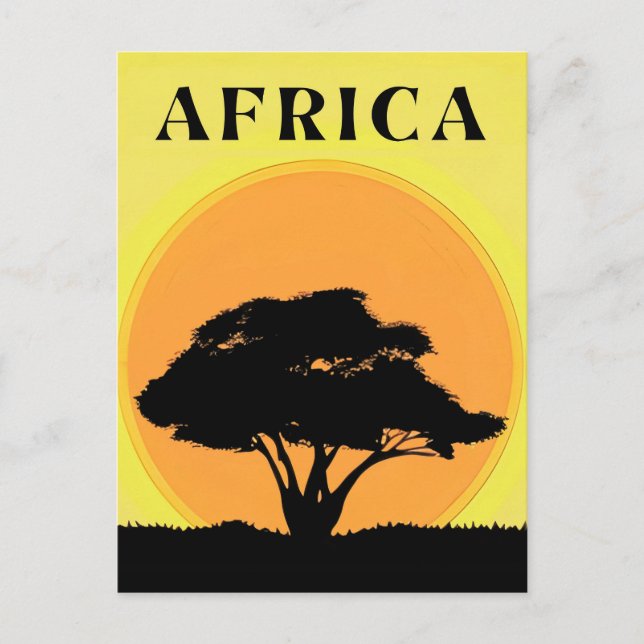 African Acacia Tree Against an Orange Sunset Postcard (Front)