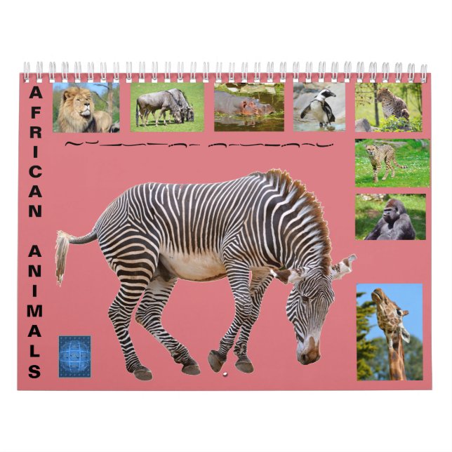 African animals 12 month calendar (Cover)