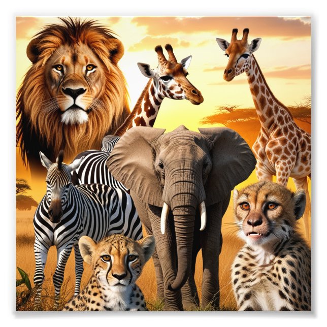 African animals  photo print (Front)