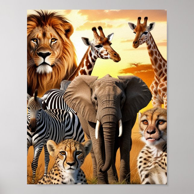 African animals  poster (Front)