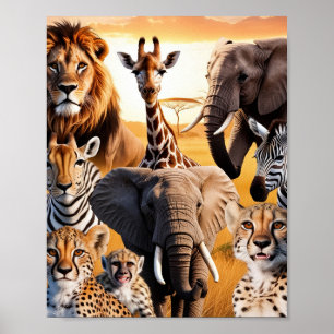 African animals poster