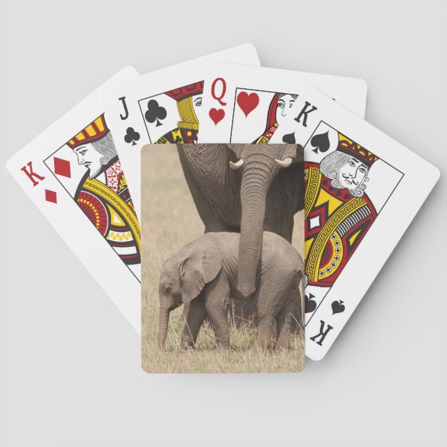 African Baby Elephant with Mother Playing Cards (Back)