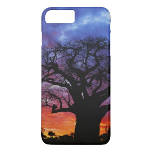 African baobab tree, Adansonia digitata, 2 Case-Mate iPhone Case