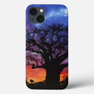 African baobab tree, Adansonia digitata, 2 iPhone 13 Case