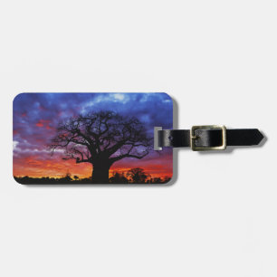 African baobab tree, Adansonia digitata, 2 Luggage Tag
